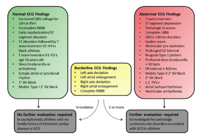 Interprétation ECG.png