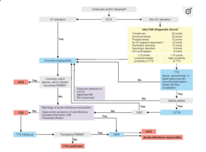 Ghadri JR, Wittstein IS, Prasad A, Sharkey S, Dote K, Akashi YJ, et al. International Expert Consensus Document on Takotsubo Syndrome (Part II): Diagnostic Workup, Outcome, and Management. Eur Heart J. 7 juin 2018;39(22):2047‑62